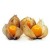 Najważniejsze zdrowie