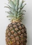 pineapple-627285_640.jpg